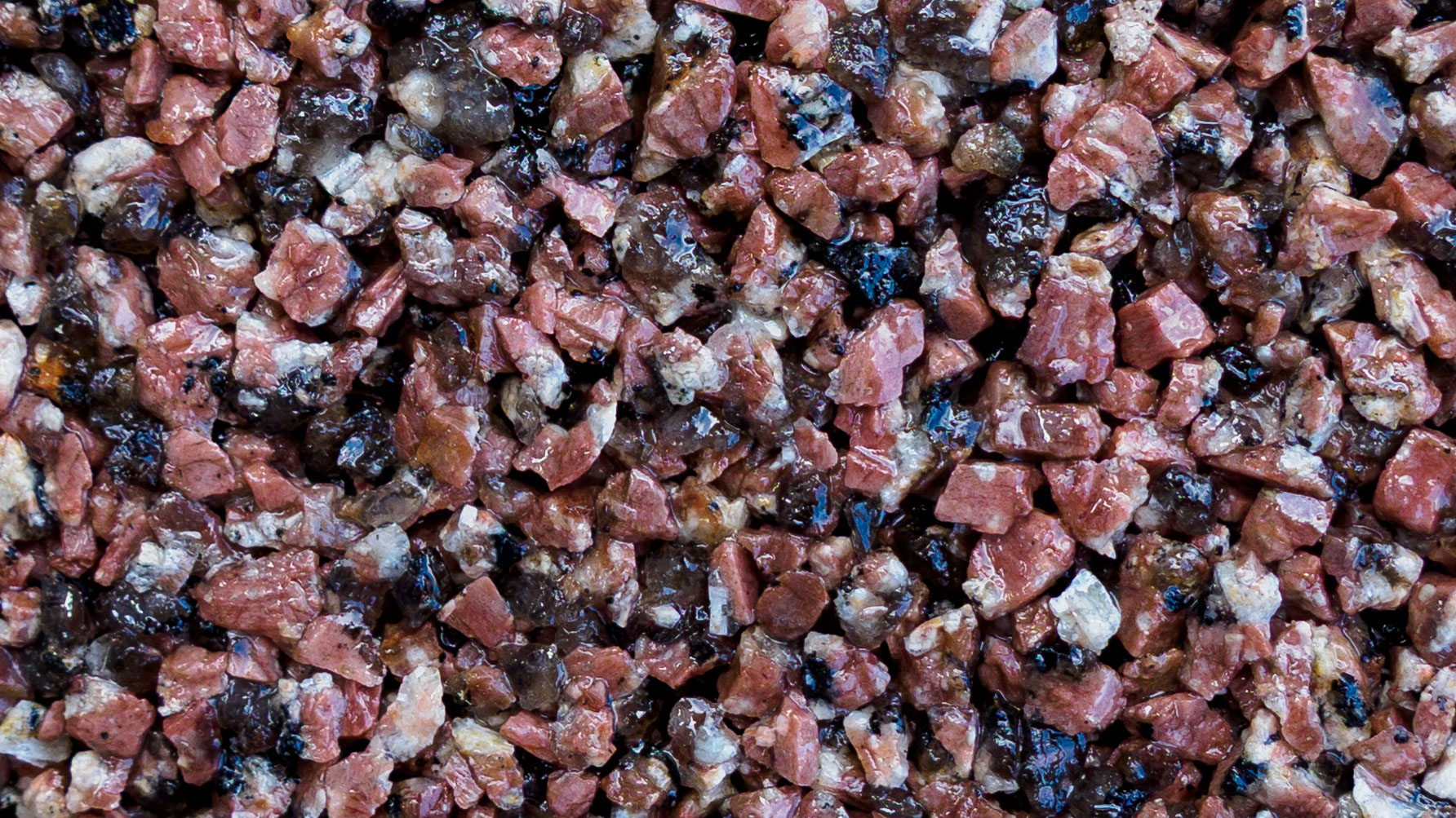 Burgundy/Desert Rose